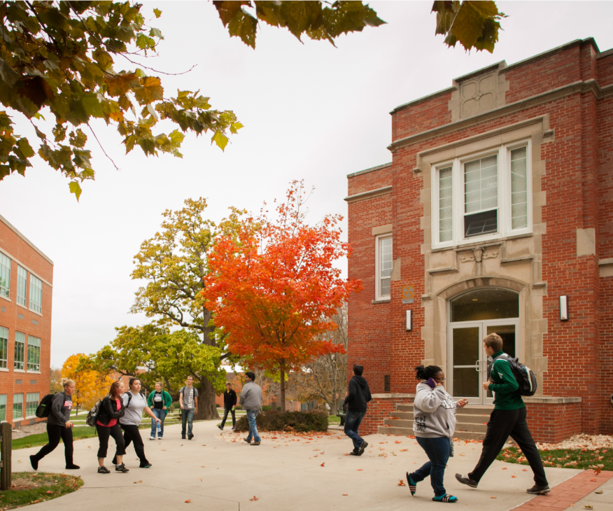 Team working on project